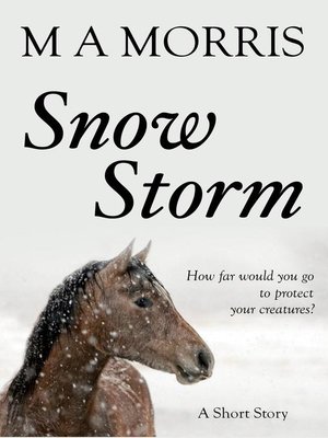 cover image of Snow Storm